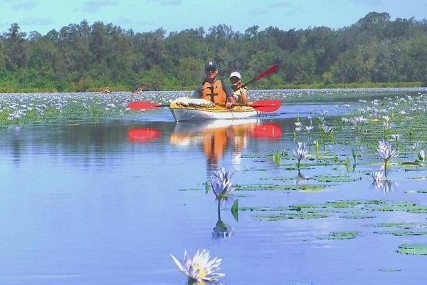 Kayak Everglades