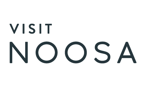 500 X 300 VN Logo