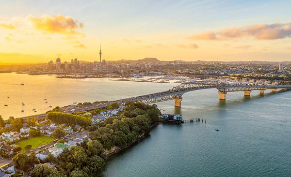 auckland marathon bridge hero